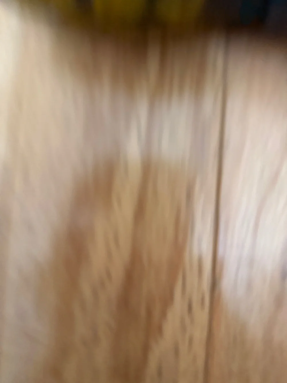 Sam Edelman Yellow and Black Leopard-Print Loafers - Picture 3 of 4